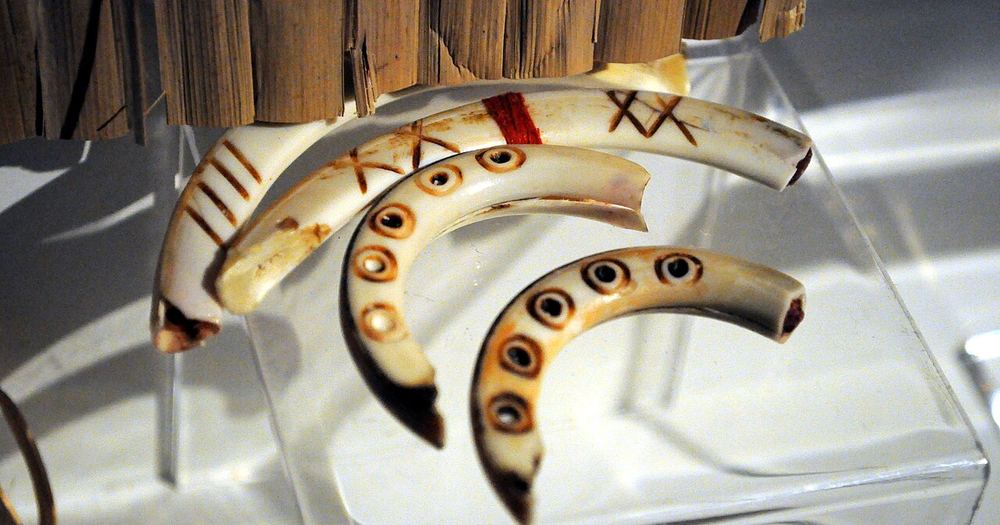 Beaver teeth dice - Log House Museum