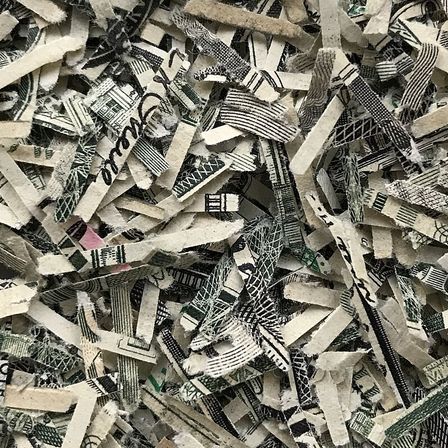 Photograph: Shreds US Dollar Details